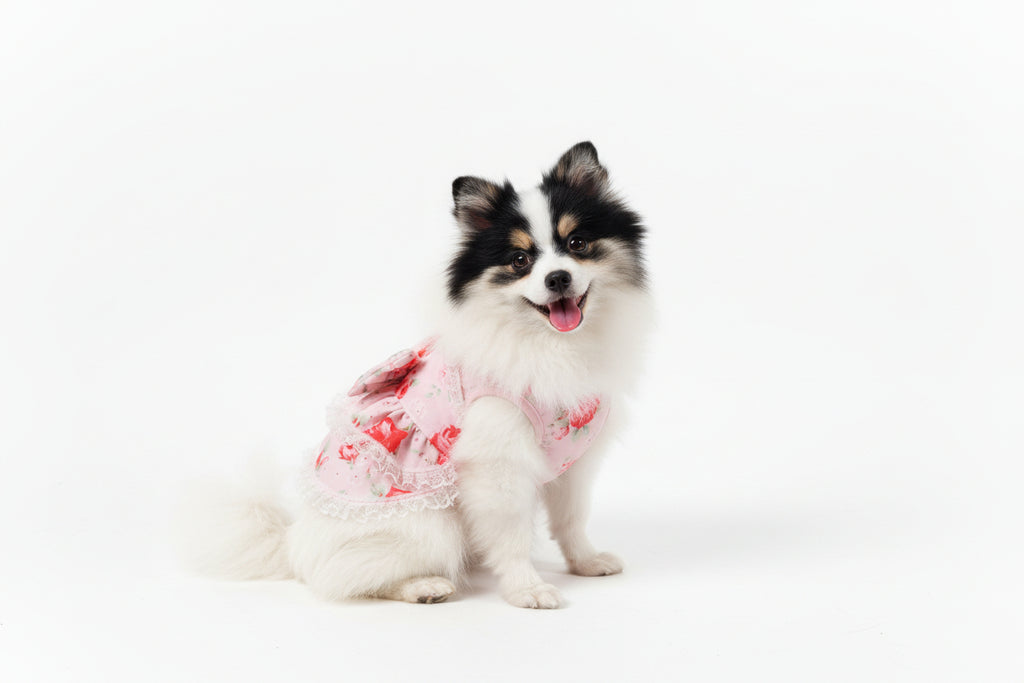 Lace and Roses Furr-Princess dog dress