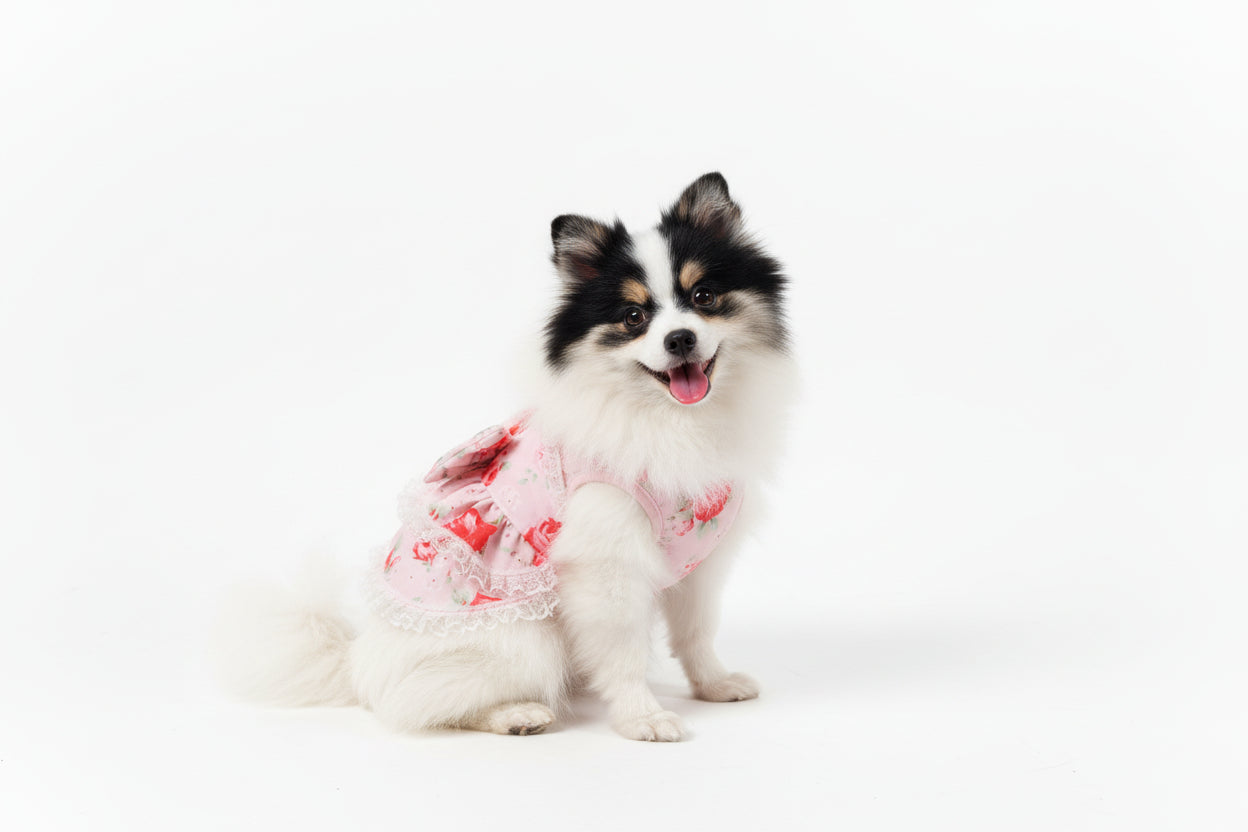 Lace and Roses Furr-Princess dog dress