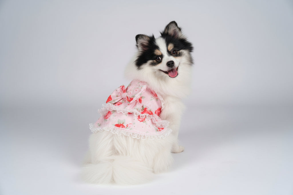 Lace and Roses Furr-Princess dog dress