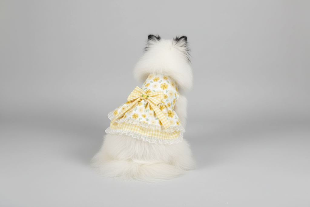 Dog wearing a yellow dress with a bow on a couch
