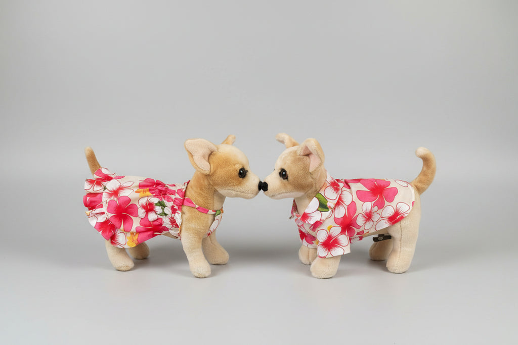 dog in a dress and a dog in a shirt