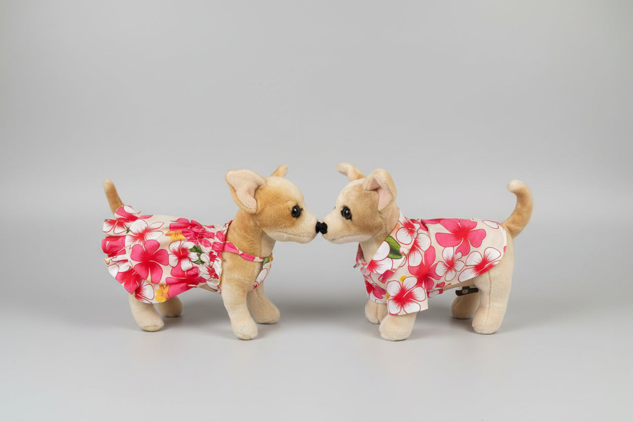 dog in a dress and a dog in a shirt