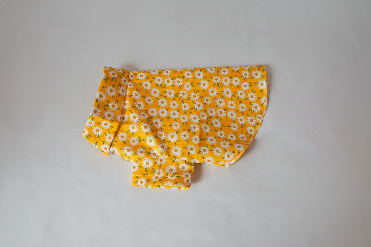 yellow dog shirt