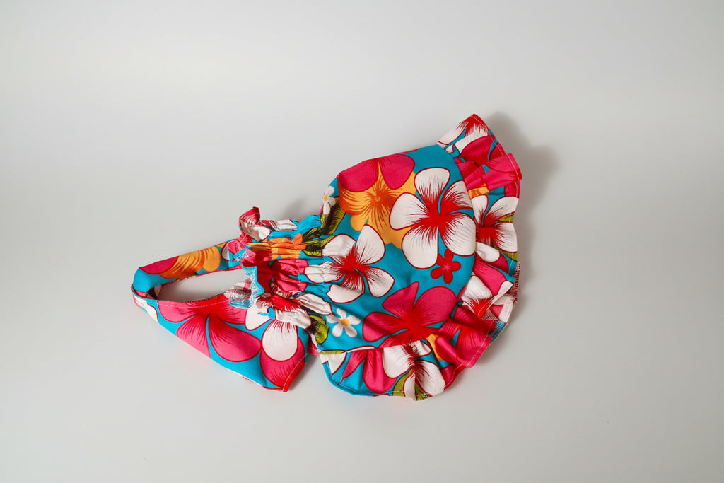 dog dress on white surface