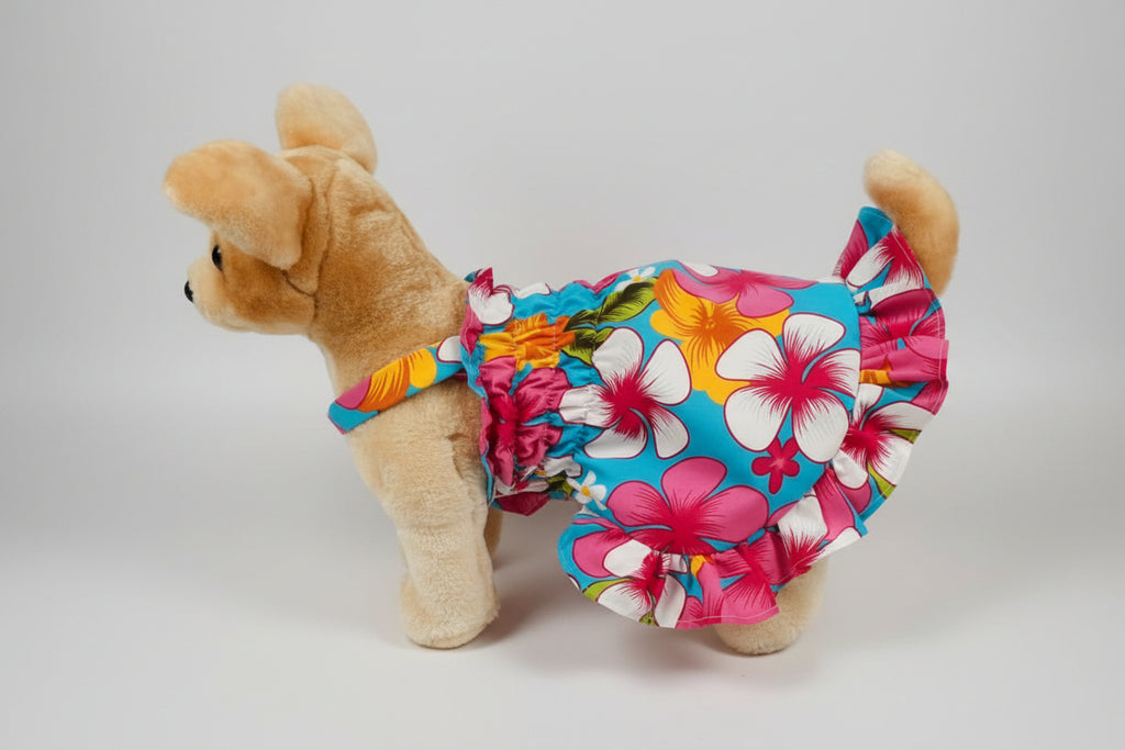 dog wearing a dress