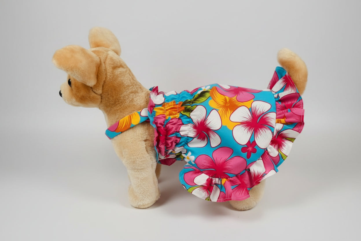 dog wearing a dress