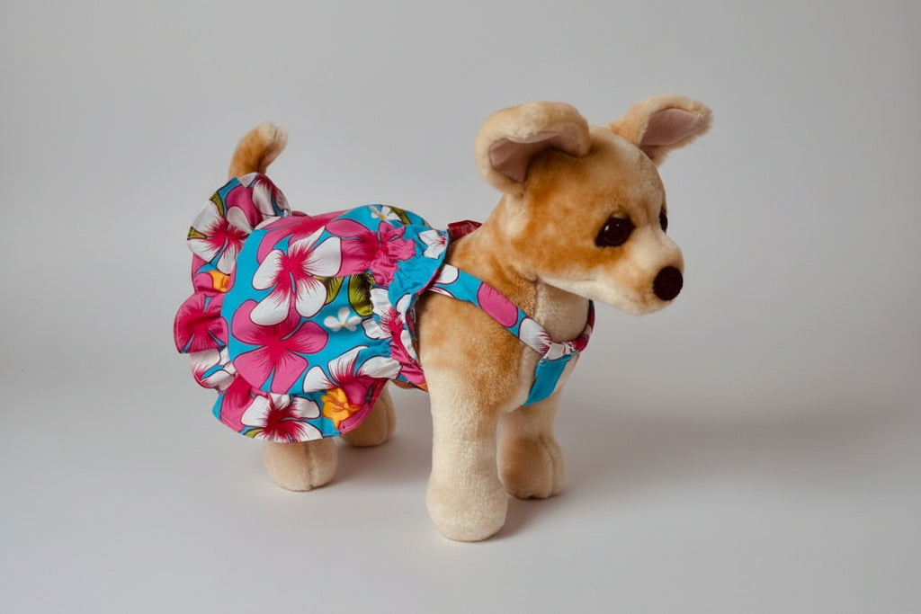 dog wearing a dress