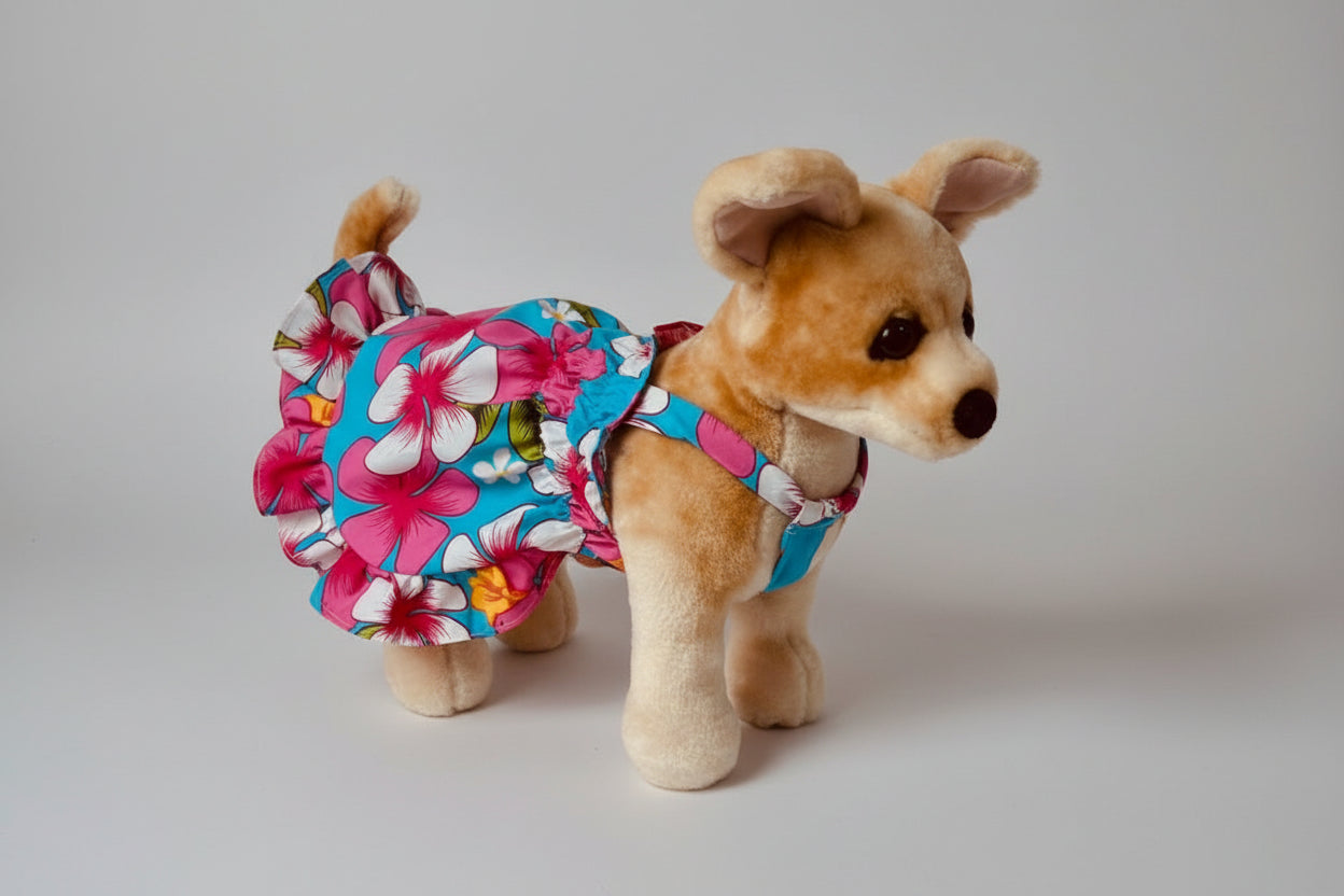 dog wearing a dress