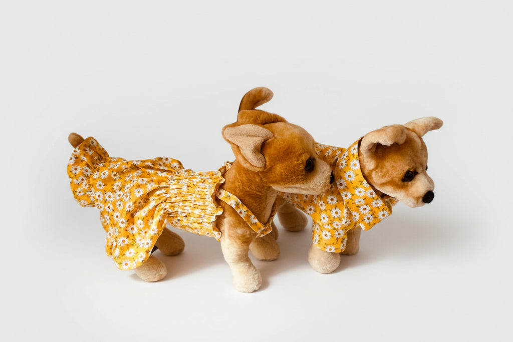 dog wearing a dress and a dog wearing a shirt