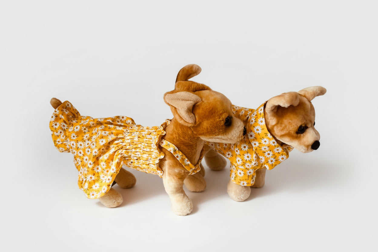 dog wearing a dress and a dog wearing a shirt