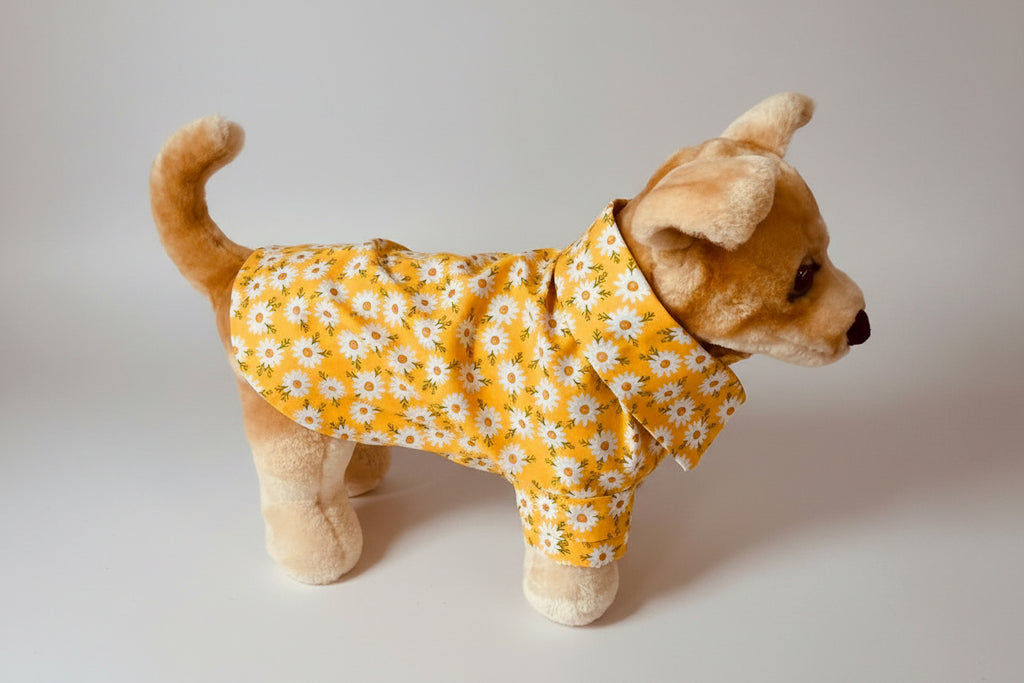 Small dog wearing a yellow floral shirt on a white background