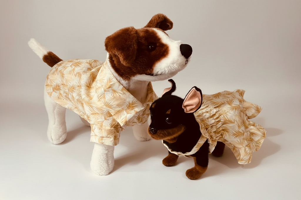 dog wearing a shirt and a dog wearing a dress