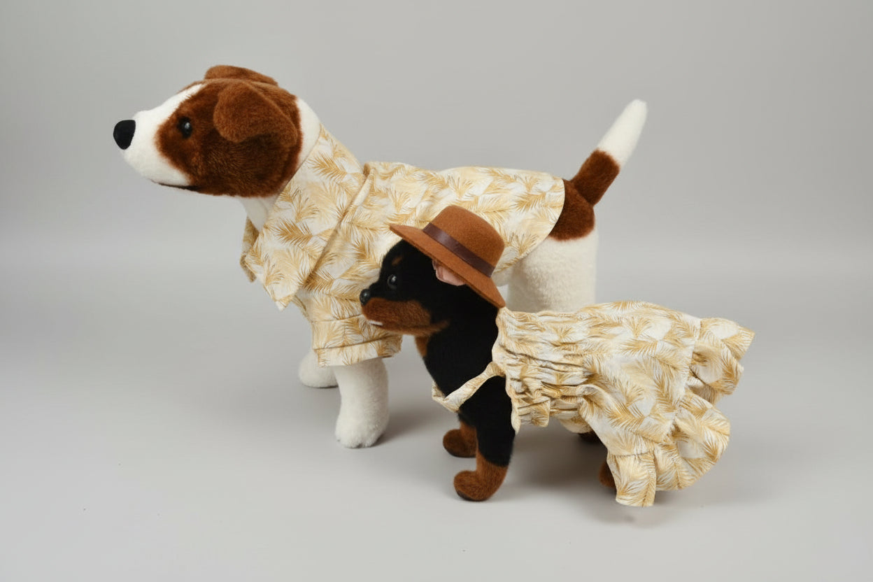 dog in a shirt and dog in a dress