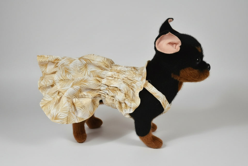 black dog in a dress