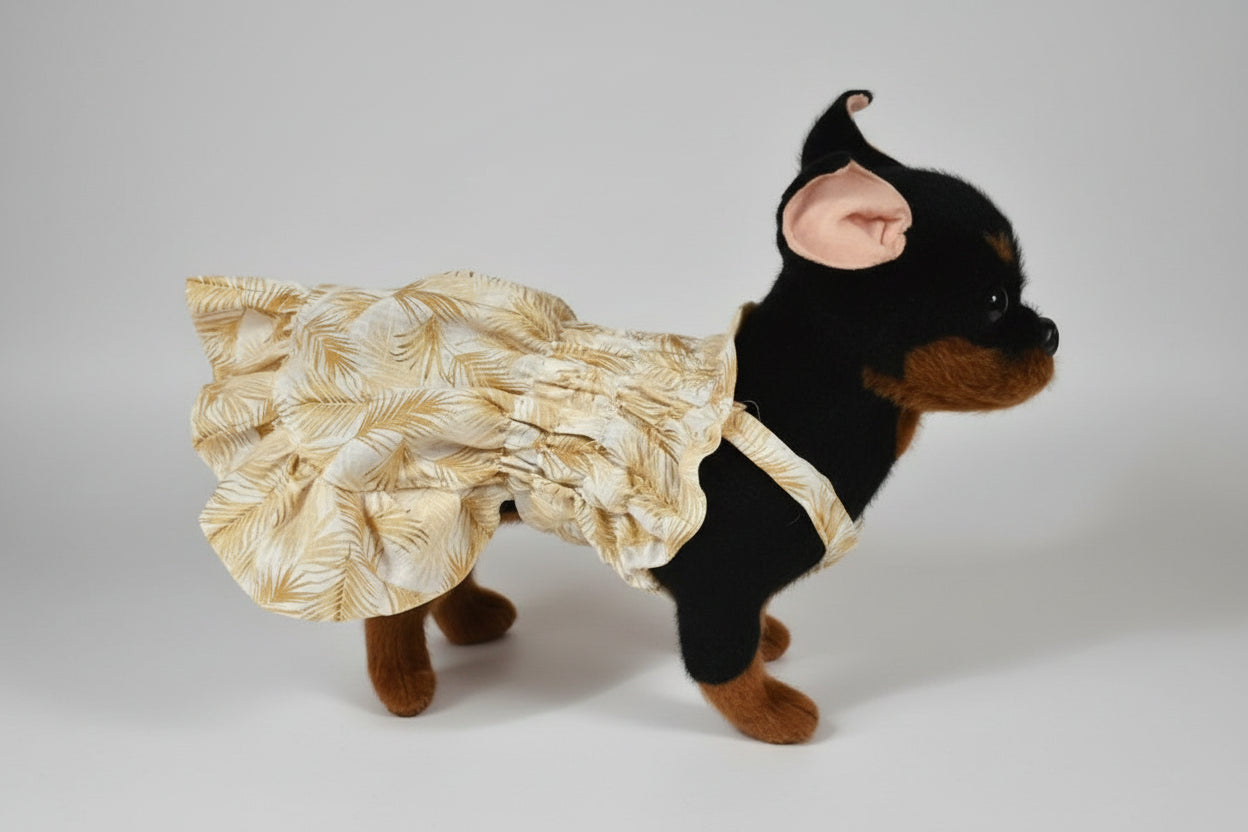 black dog in a dress