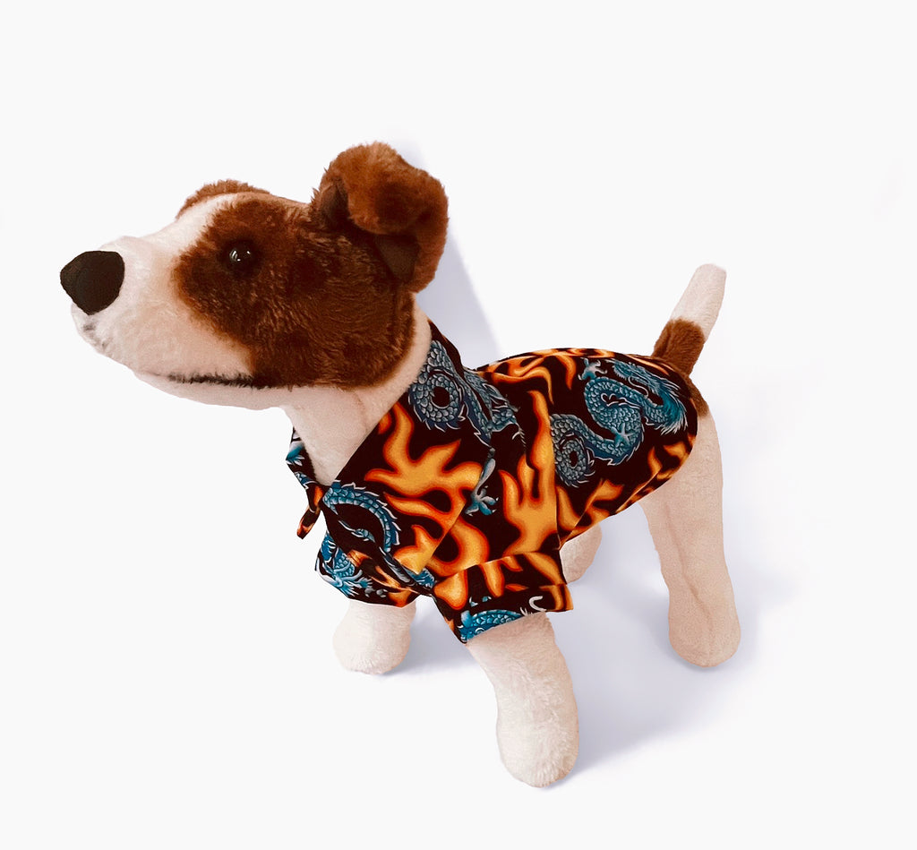 Orange Flames and Blue Dragons Collar Dog Shirt