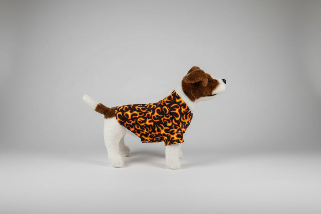 Dog wearing a flame pattern dog shirt