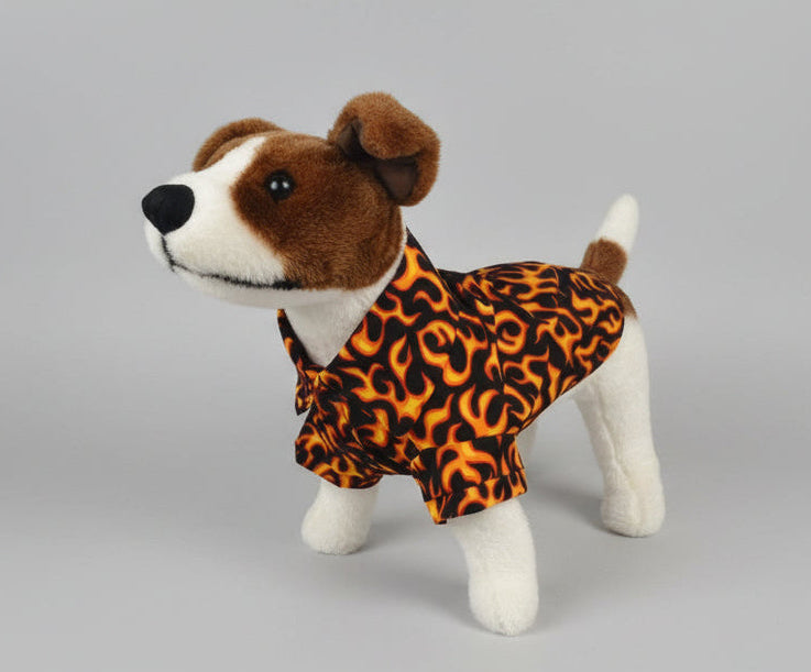 Dog wearing a flame pattern dog shirt