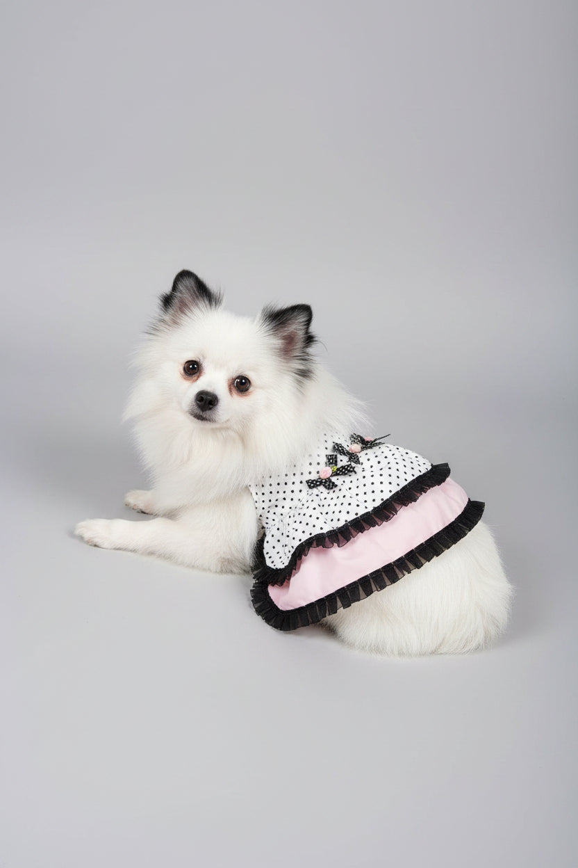 The Genevieve, Black and white polka dot dog dress