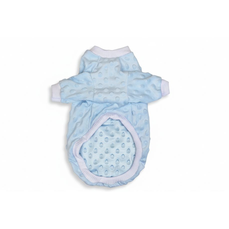 Blue pet outfit with white trim on a textured surface