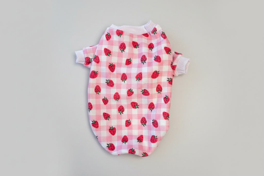 strawberry pattern small dog sweater