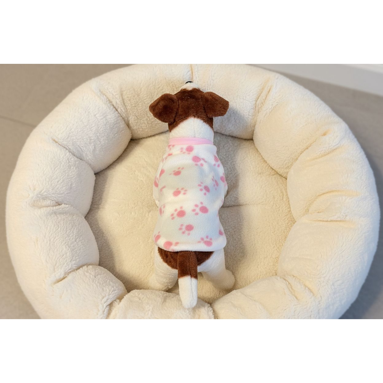 Dog wearing a fleece sweater with a pink paw pattern on a beige couch