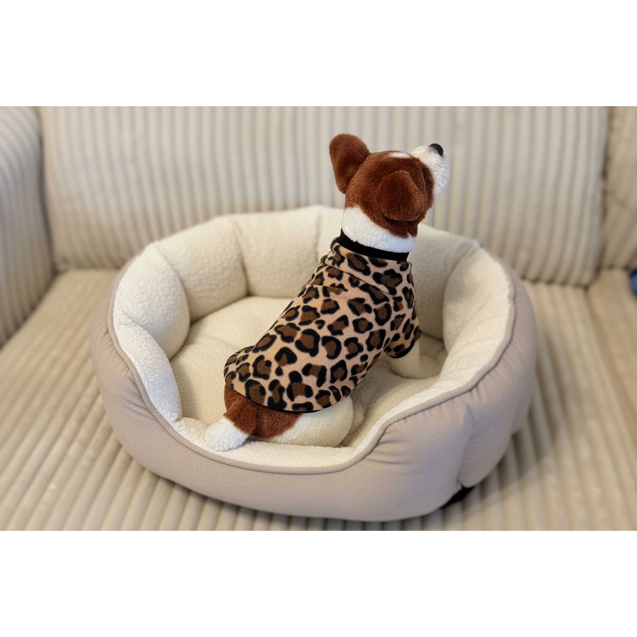 dog in a leopard print coat on a beige couch.