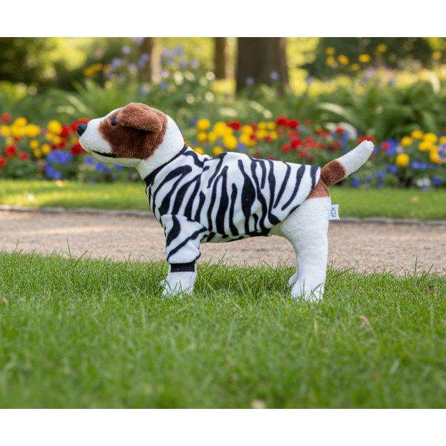  dog in a zebra print fleece sweater on a beige couch