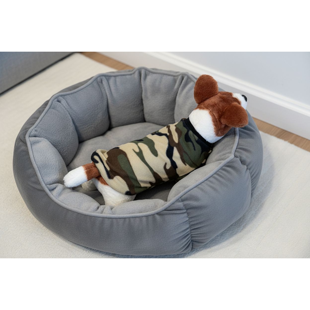 small dog in a camouflage outfit on a beige textured surface