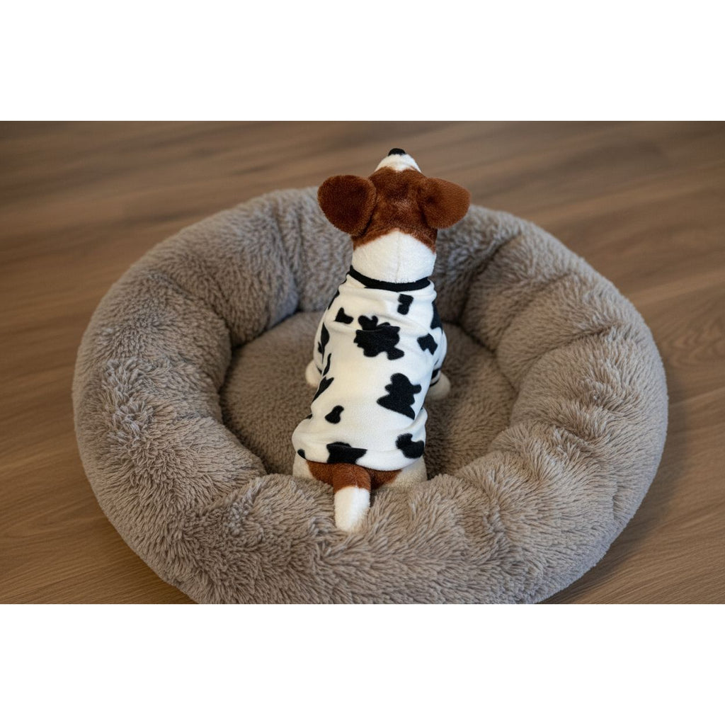 Dog wearing a cow print outfit on a beige couch