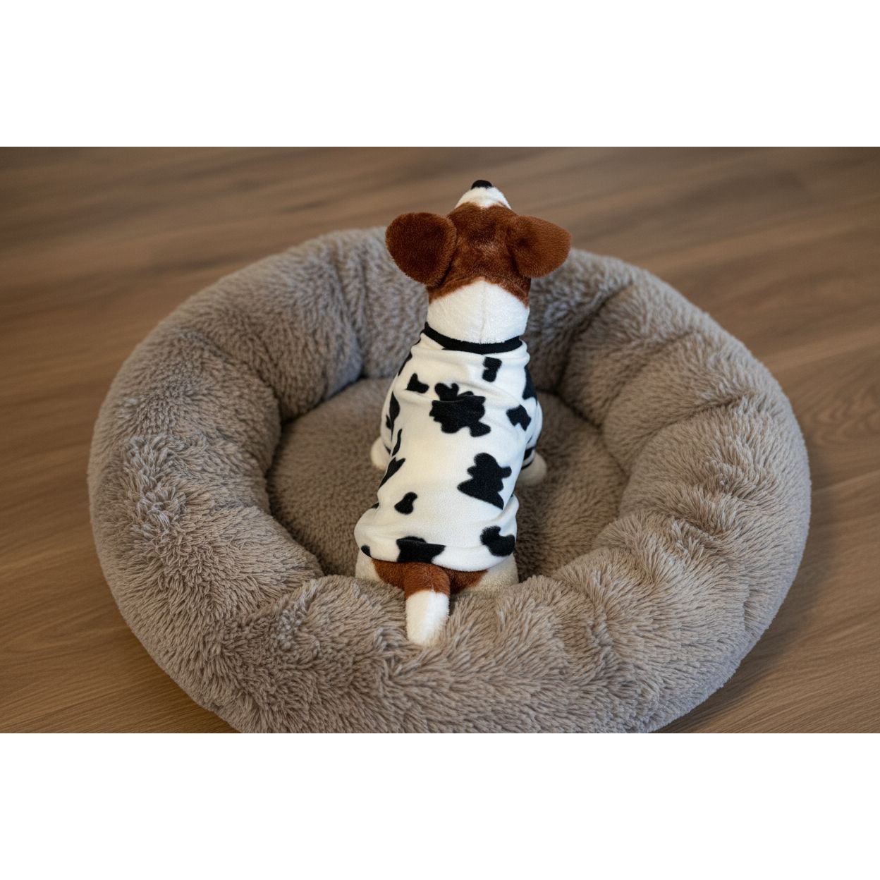 Dog wearing a cow print outfit on a beige couch