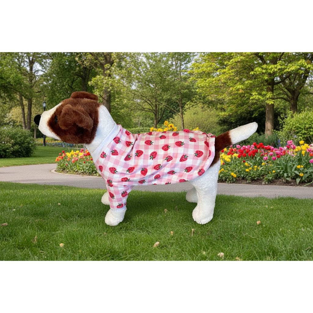 Dog wearing a pink checkered outfit with strawberry pattern on a beige couch
