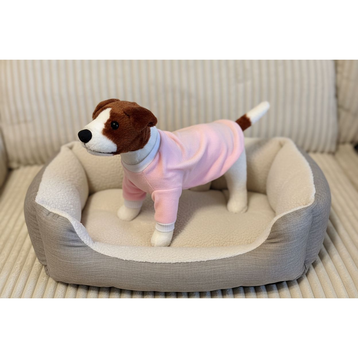 small dog in a pink outfit on a beige couch