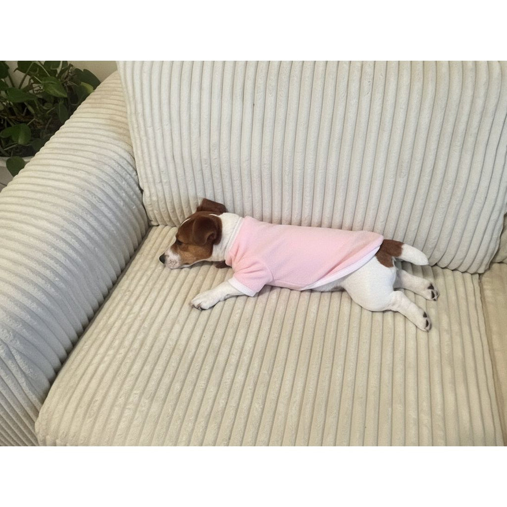Small dog in a pink outfit sitting on a textured beige couch