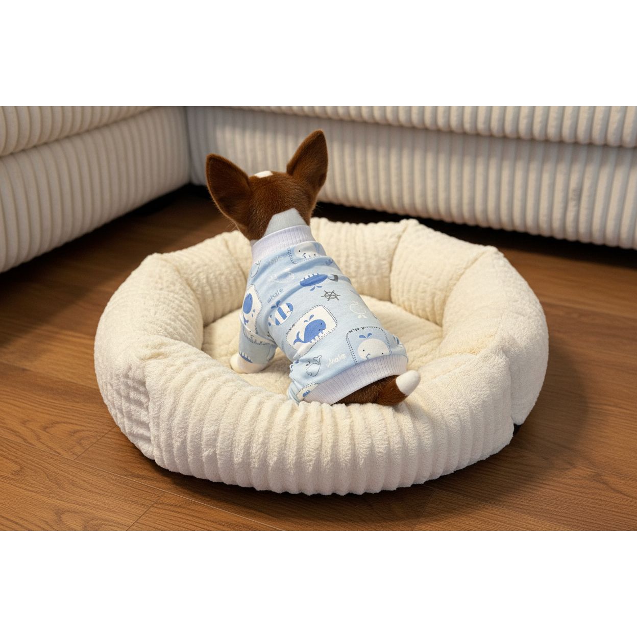 Small dog wearing a blue pajama with elephant patterns on a beige couch.