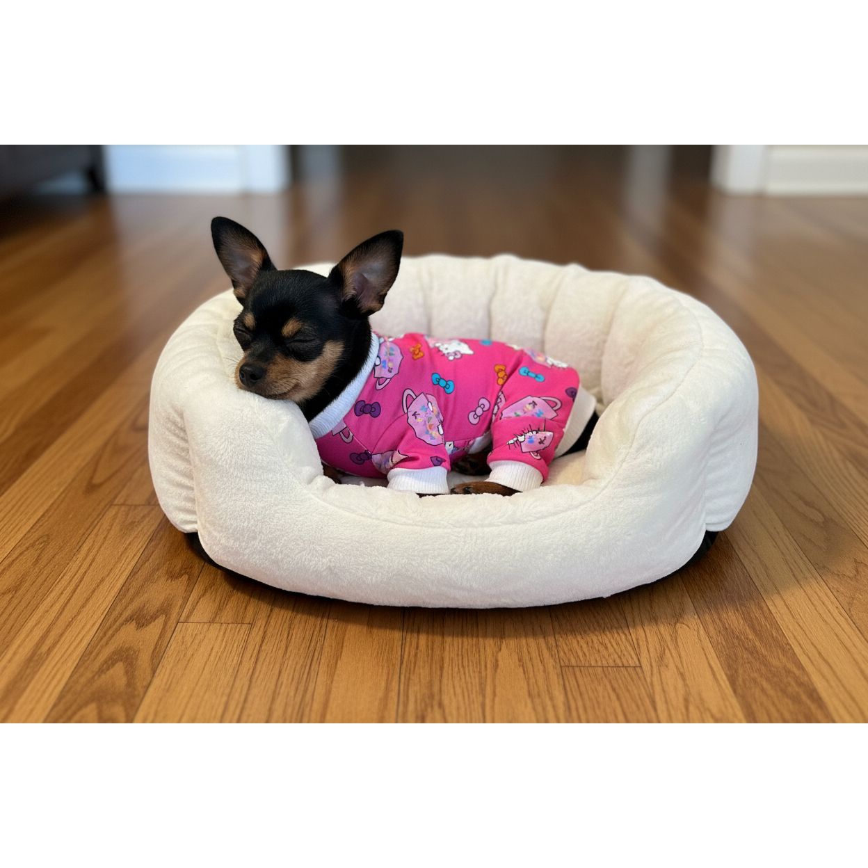Small dog wearing a pink Hello Kitty outfit on a beige couch