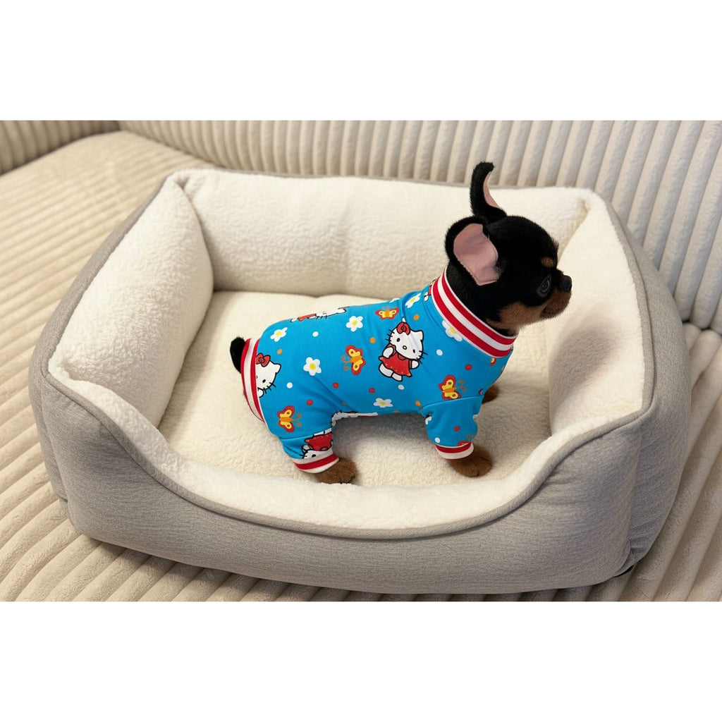 Small dog wearing a blue outfit with cartoon characters on a beige surface