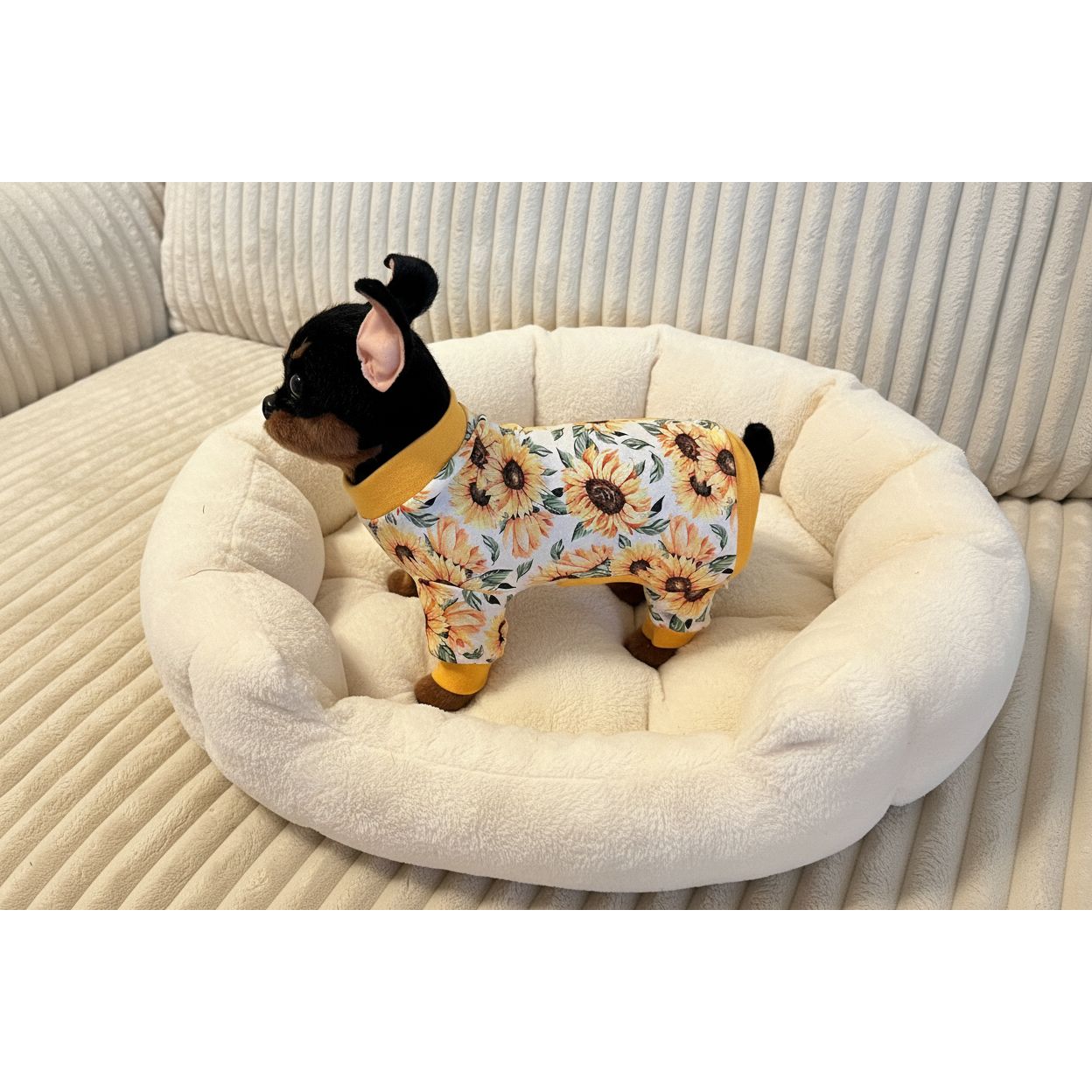 Dog wearing a sunflower-patterned outfit sitting on a beige couch.