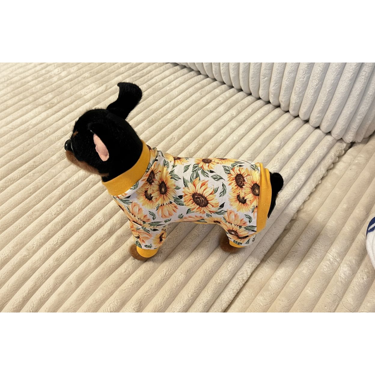 Dog wearing a sunflower-patterned outfit on a beige couch