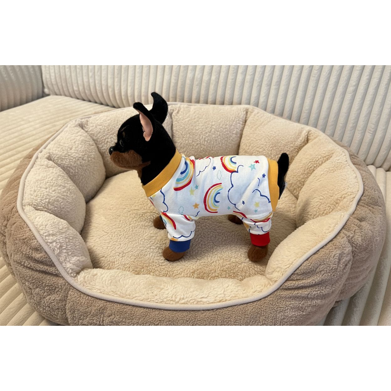 Small dog wearing a colorful onesie with rainbows and stars on a beige couch.