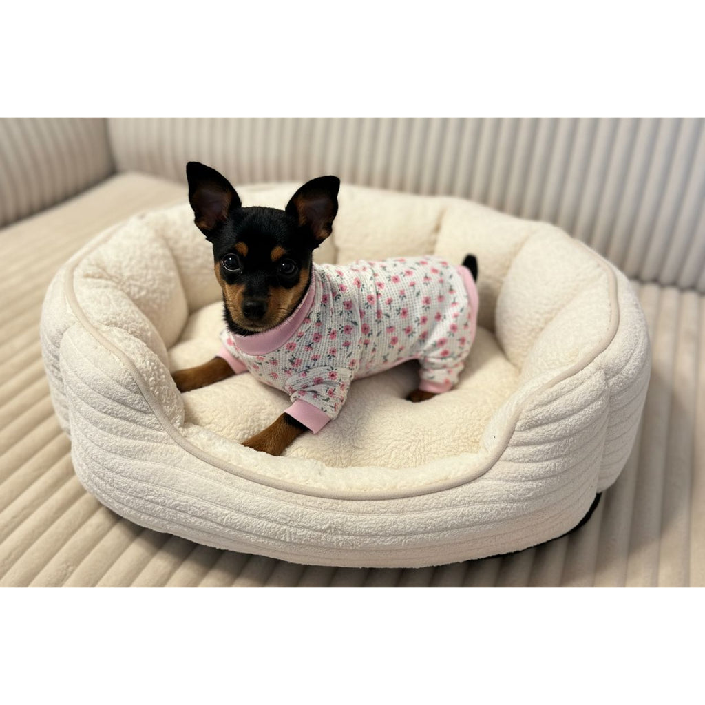 Small chihuahua dog wearing a floral pajama outfit on a beige couch.