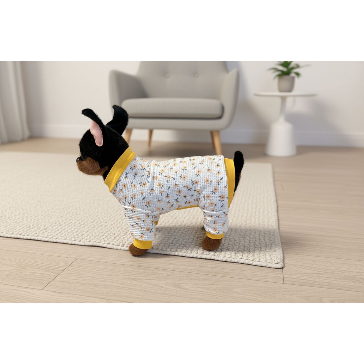 Small dog wearing a patterned outfit with yellow trim on a beige couch