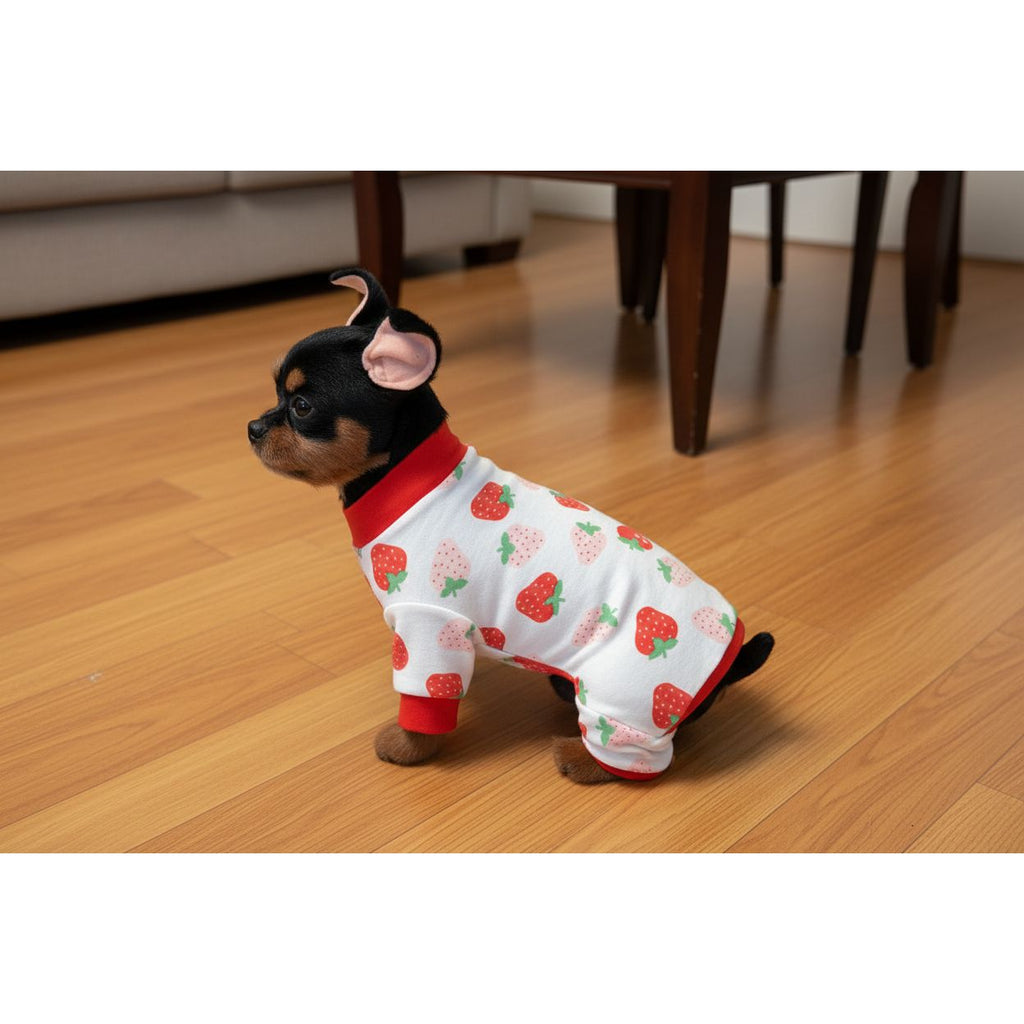 Dog wearing a strawberry-patterned onesie on a beige couch