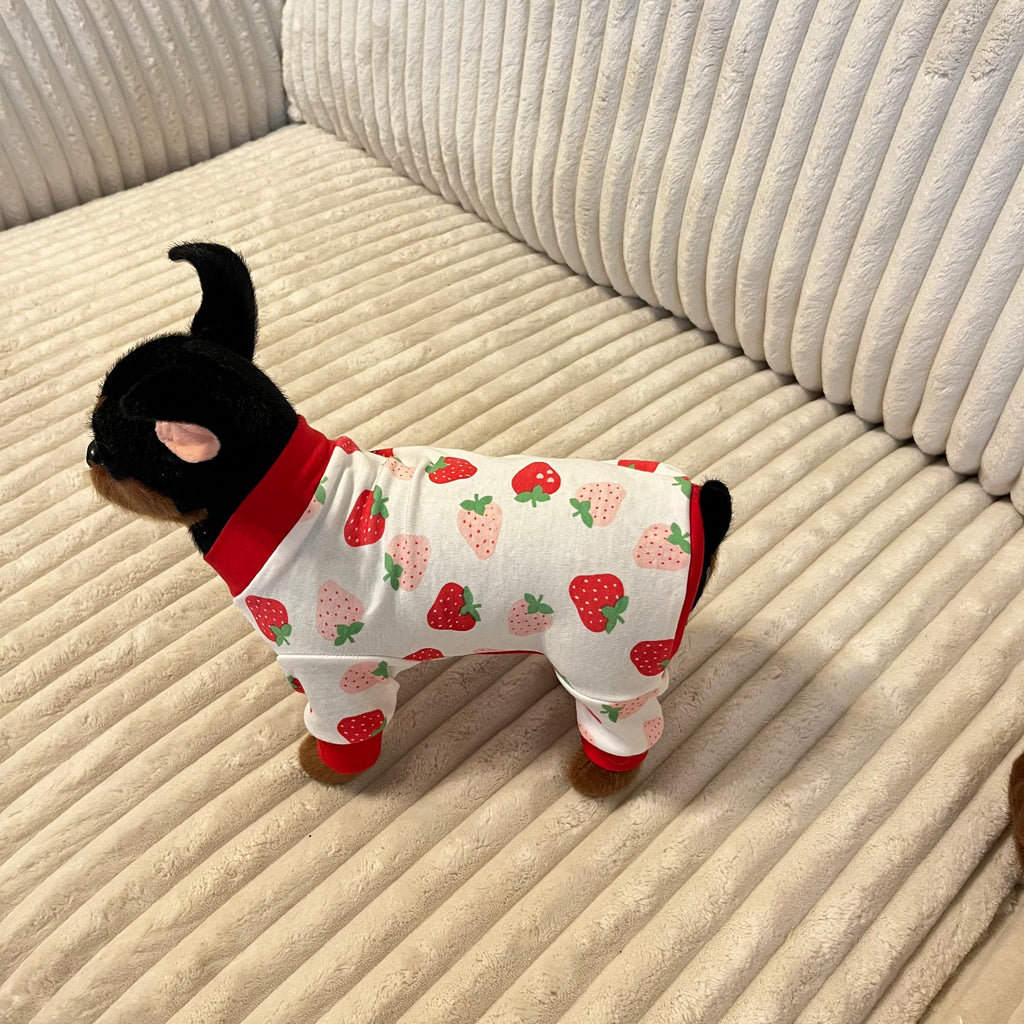 Small dog wearing a strawberry patterned outfit on a beige couch