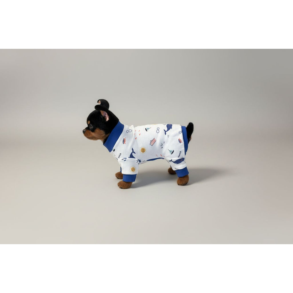 Small dog wearing a white onesie with blue trim and animal prints on a beige couch.