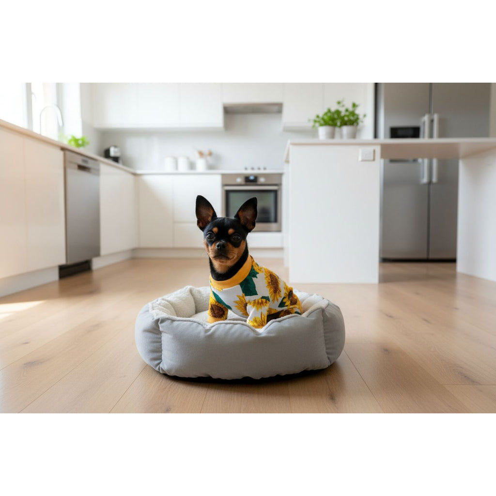 Dog wearing a sunflower patterned outfit on a beige couch