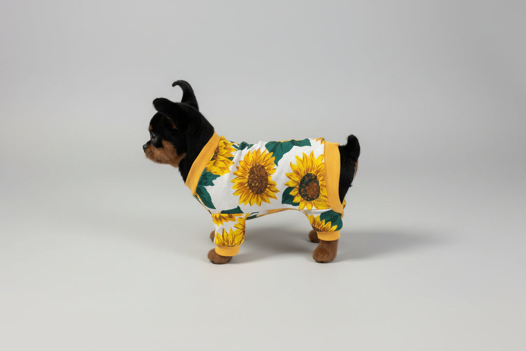 Dog wearing a sunflower patterned outfit on a beige couch