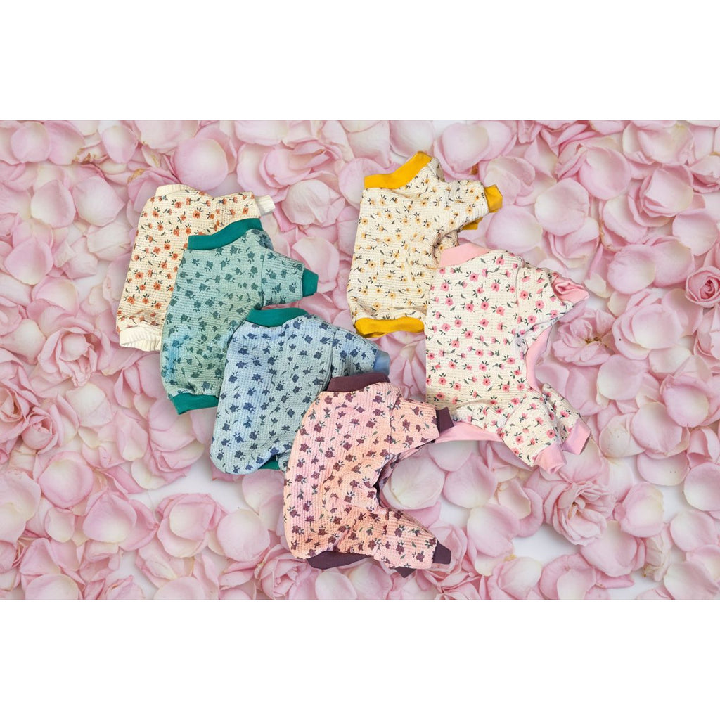 Set of small dog pajamas in various patterns on a beige sofa