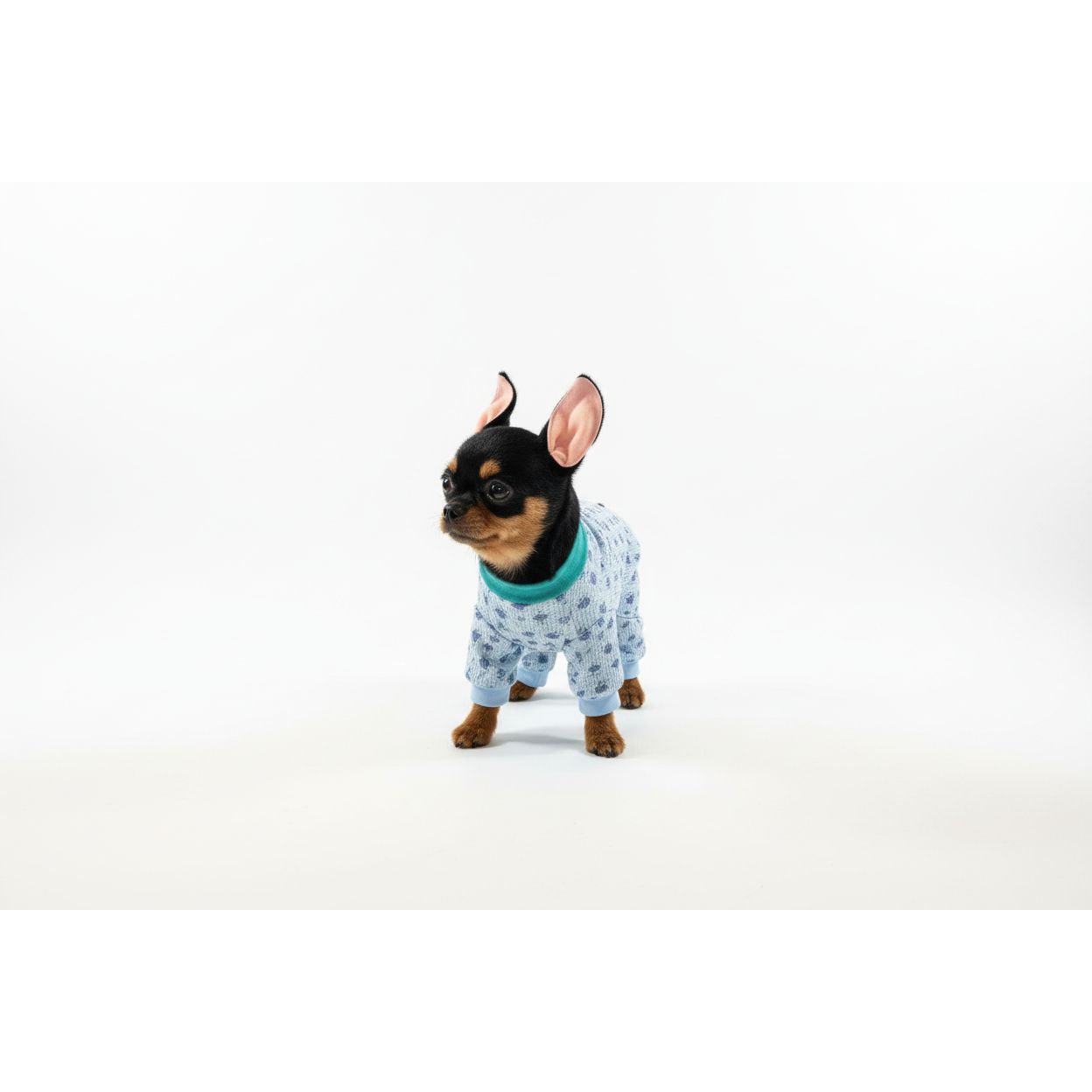 Small dog wearing a blue floral onesie on a beige couch