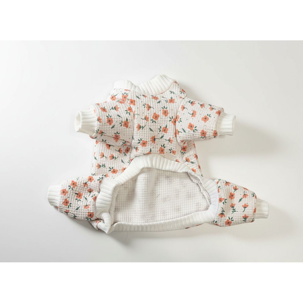 Floral-patterned dog pajamas on a marble surface